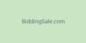 BiddingSale.com
