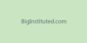 BigInstituted.com