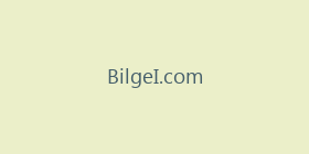 BilgeI.com