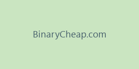 BinaryCheap.com