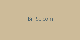 BirlSe.com