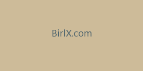 BirlX.com