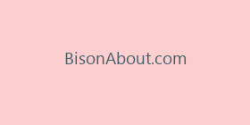 BisonAbout.com