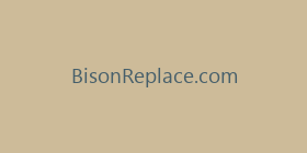 BisonReplace.com