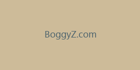 BoggyZ.com