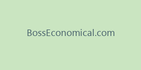 BossEconomical.com