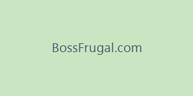 BossFrugal.com