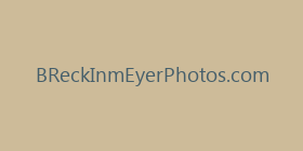 BReckInmEyerPhotos.com