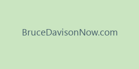 BruceDavisonNow.com