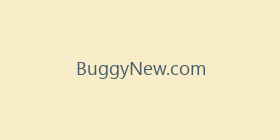 BuggyNew.com