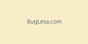 BugLesa.com