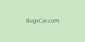 BugsCar.com