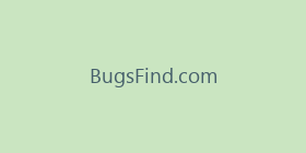 BugsFind.com