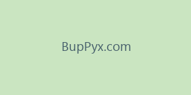 BupPyx.com