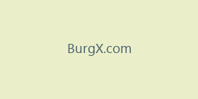BurgX.com