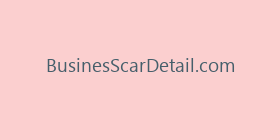 BusinesScarDetail.com