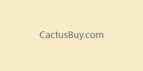 CactusBuy.com