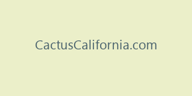 CactusCalifornia.com