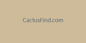 CactusFind.com