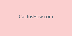 CactusHow.com