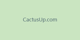 CactusUp.com