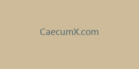 CaecumX.com