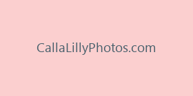 CallaLillyPhotos.com