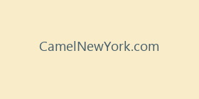 CamelNewYork.com