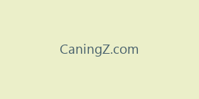 CaningZ.com