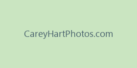 CareyHartPhotos.com