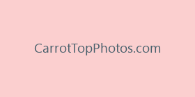 CarrotTopPhotos.com