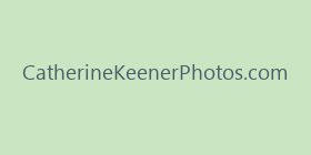 CatherineKeenerPhotos.com