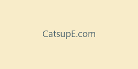 CatsupE.com