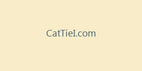 CatTieI.com