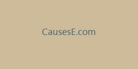 CausesE.com