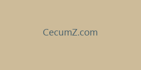 CecumZ.com