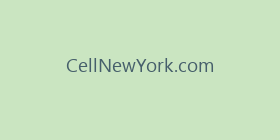 CellNewYork.com