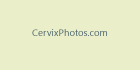 CervixPhotos.com