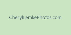 CherylLemkePhotos.com