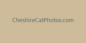 CheshireCatPhotos.com