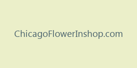 ChicagoFlowerInshop.com