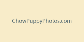 ChowPuppyPhotos.com