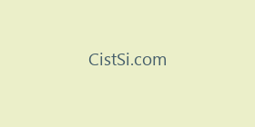 CistSi.com