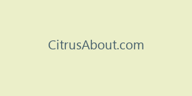 CitrusAbout.com