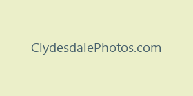 ClydesdalePhotos.com