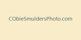 CObieSmuldersPhoto.com