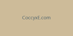 CoccyxE.com