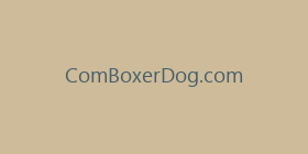 ComBoxerDog.com