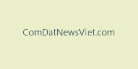 ComDatNewsViet.com