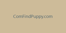 ComFindPuppy.com